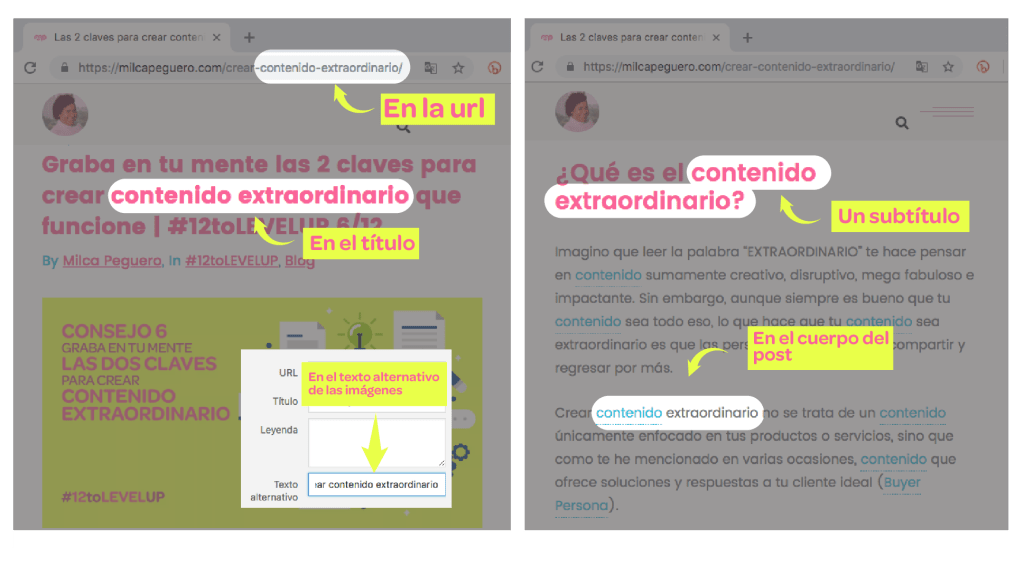 Tips para escribir en tu blog: optimización de tus posts.