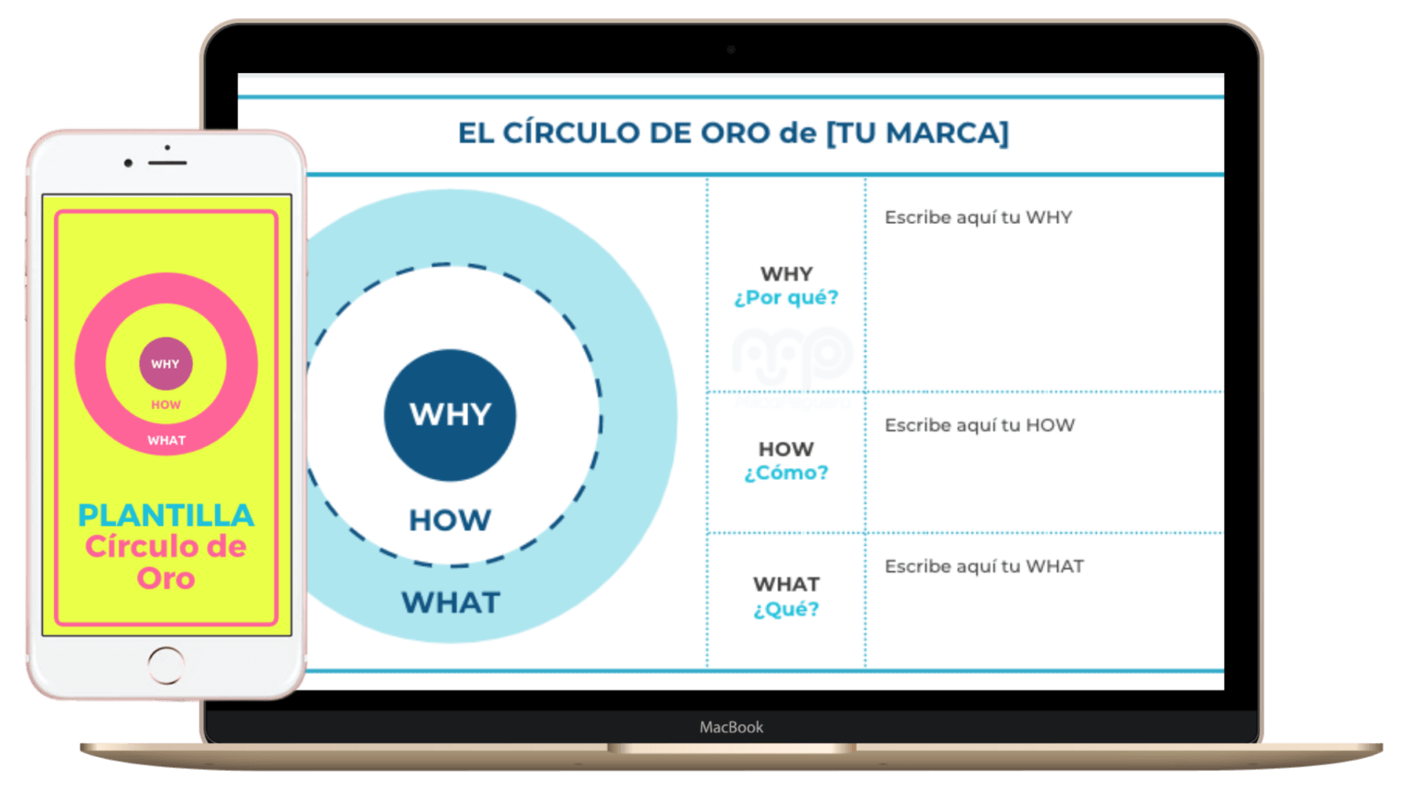 Plantilla para crear el Círculo de Oro en Canva o en Google