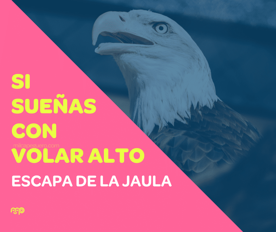 Si sueñas con volar alto, escápate de la jaula